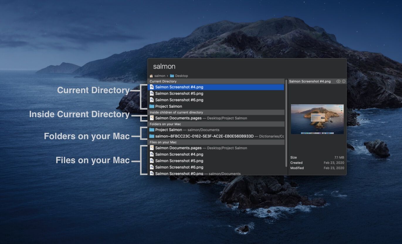 Salmon search window that shows different scropes that is searched for: Current director, Inside children of current directory, Folders on your Mac and Files on your Mac