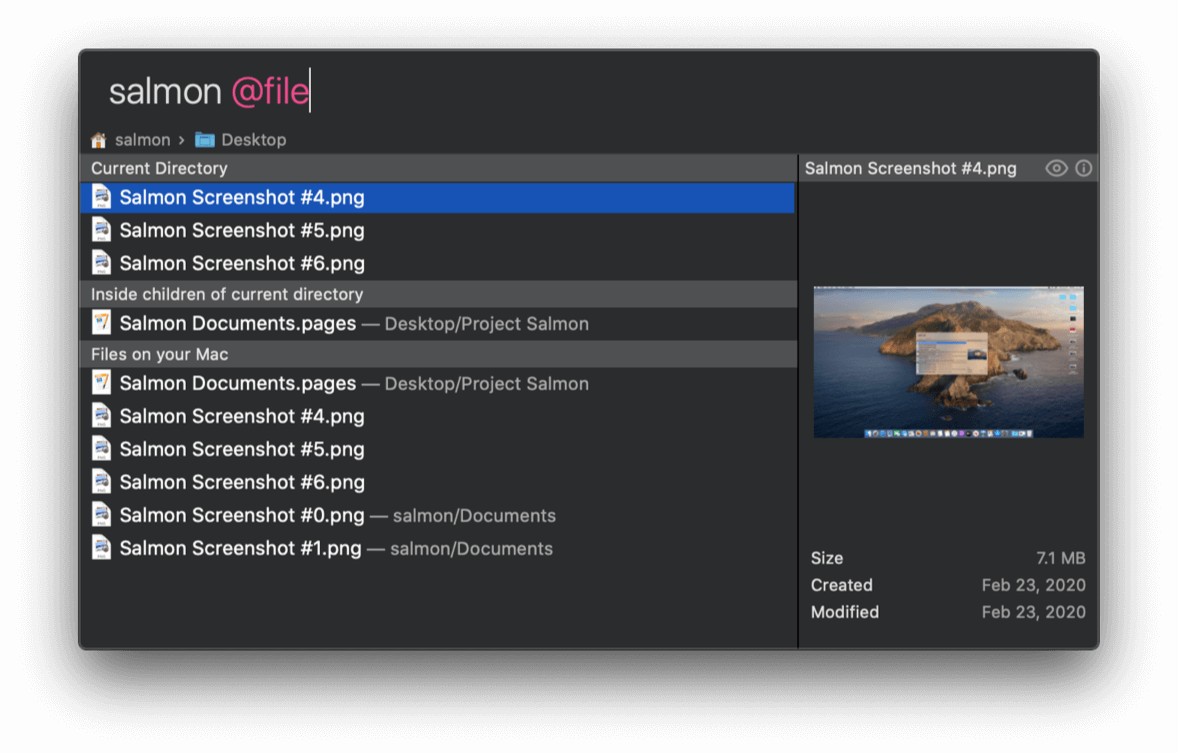 Salmon search window with 'salmon @file' entered in search field and the search results for files with salmon in their names