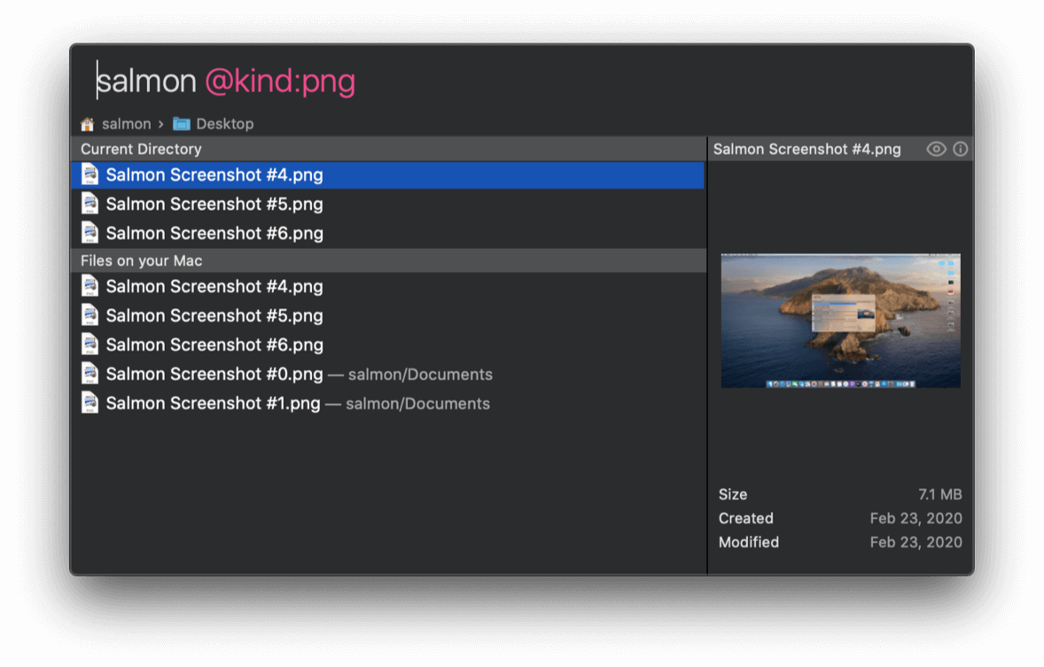 Salmon search window with 'salmon @kind:png' entered in search field and the search results for png files with salmon in their names