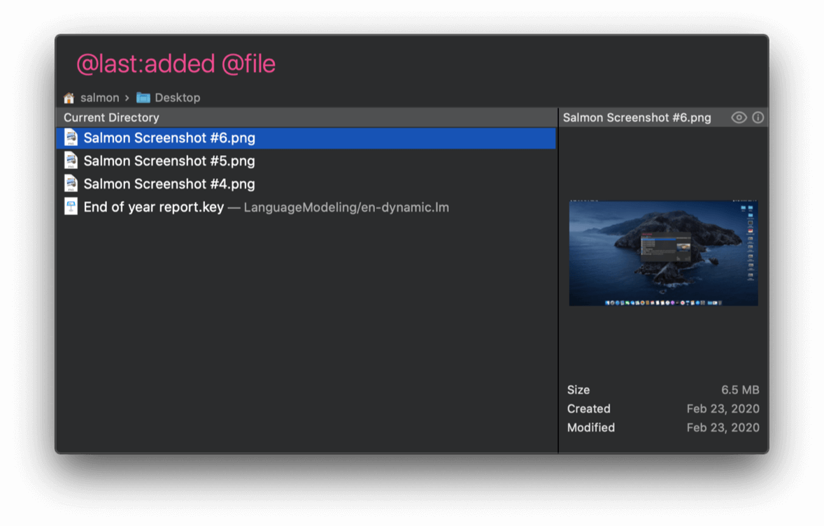 Salmon search window with '@last:added @file' entered in search field and the search results of all files in current directory sorted by the last added date