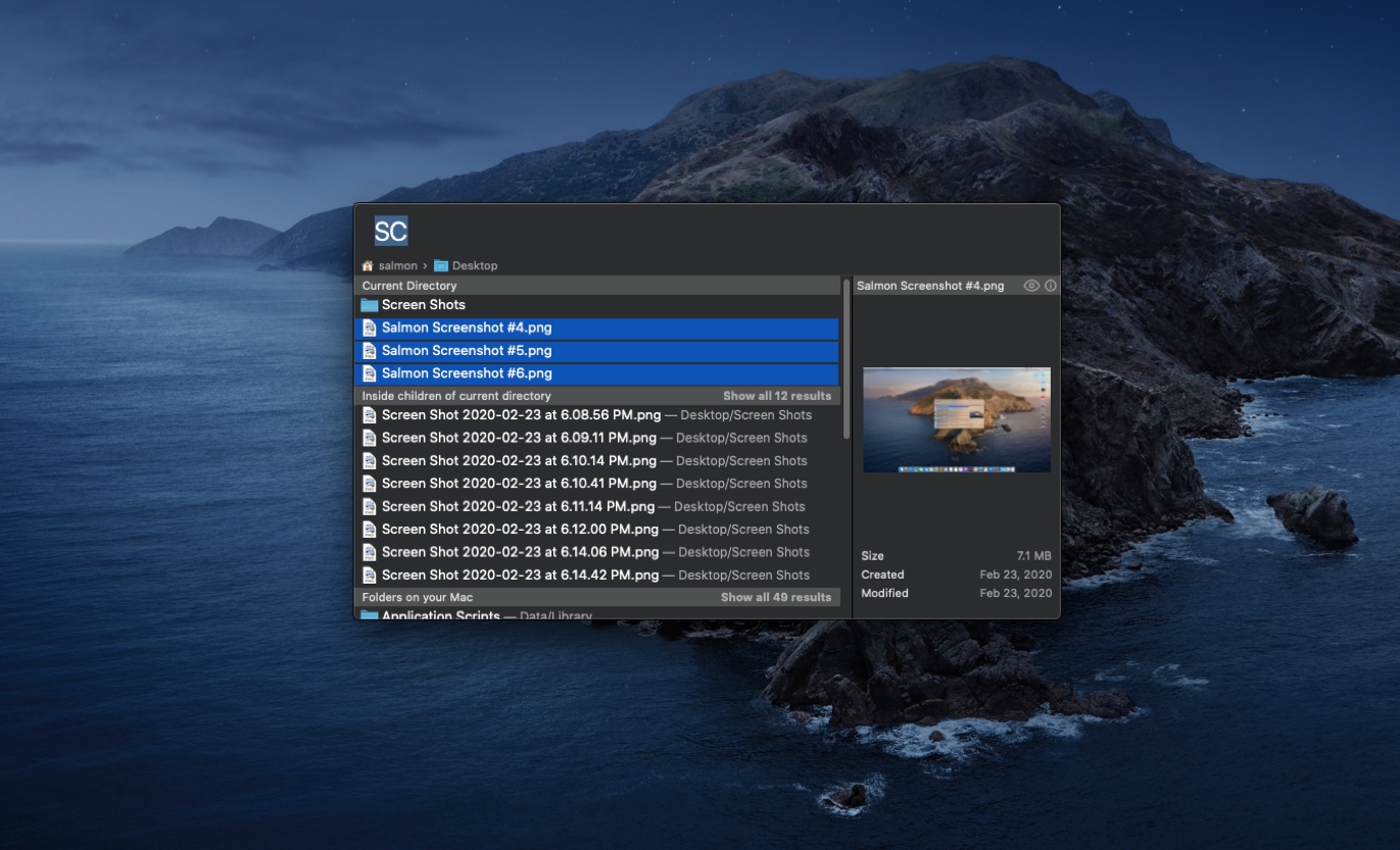Salmon search window with multiple search results selected