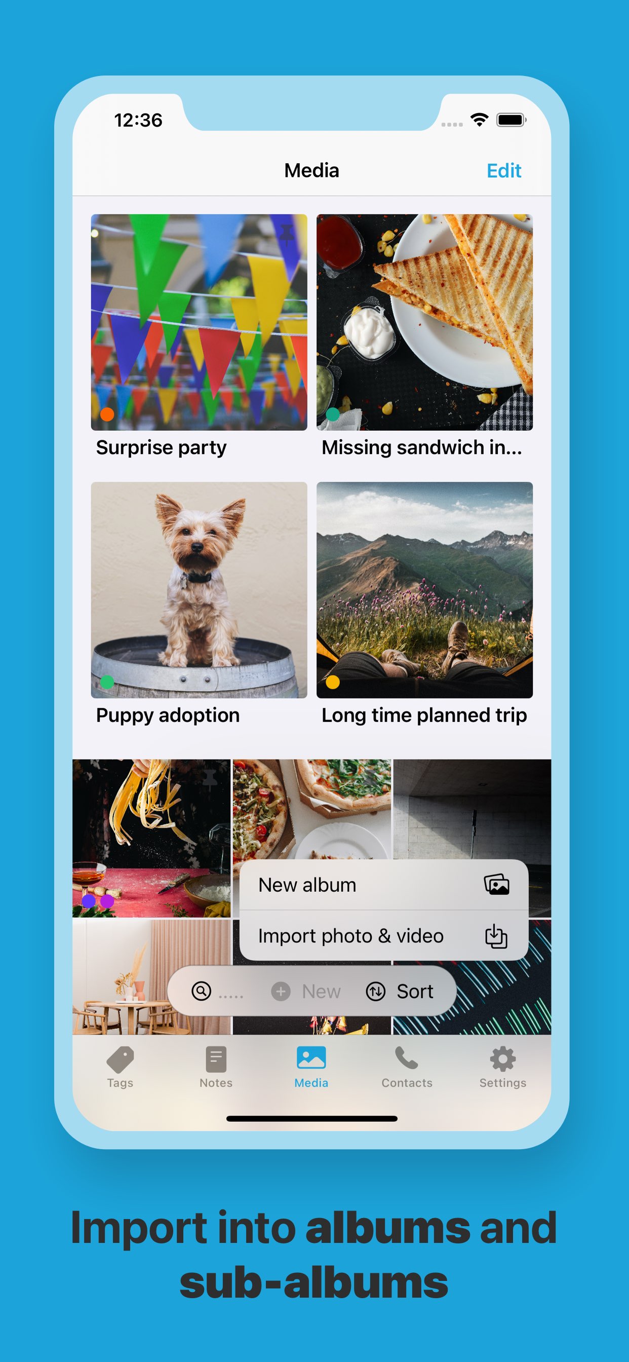 Media tab with new button tapped showing menu with New album and Import photo & video actions.